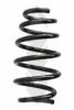 SPIDAN 55209 Coil Spring